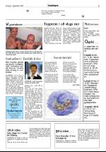 opdalingen-20070901_000_00_00_003.pdf