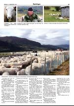 opdalingen-20070915_000_00_00_017.pdf