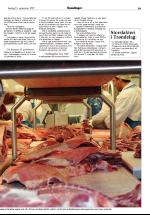 opdalingen-20070915_000_00_00_019.pdf