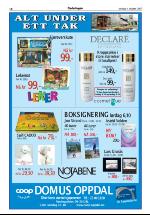 opdalingen-20071004_000_00_00_018.pdf