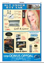 opdalingen-20071004_000_00_00_019.pdf