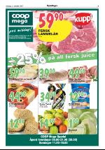 opdalingen-20071011_000_00_00_007.pdf