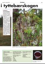 opdalingen-20071013_000_00_00_013.pdf