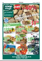 opdalingen-20071025_000_00_00_020.pdf