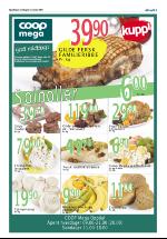 opdalingen-20071122_000_00_00_005.pdf