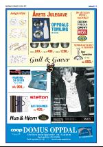 opdalingen-20071213_000_00_00_011.pdf