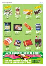 opdalingen-20071218_000_00_00_017.pdf