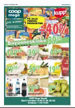 opdalingen-20080110_000_00_00_005.pdf