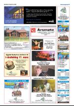 opdalingen-20080315_000_00_00_025.pdf