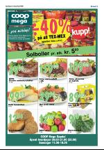 opdalingen-20080410_000_00_00_005.pdf