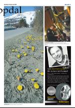 opdalingen-20080422_000_00_00_013.pdf