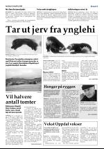 opdalingen-20080503_000_00_00_009.pdf