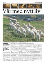 opdalingen-20080503_000_00_00_014.pdf