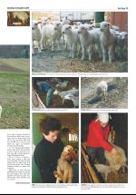 opdalingen-20080503_000_00_00_015.pdf