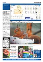 opdalingen-20080506_000_00_00_024.pdf