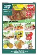 opdalingen-20080508_000_00_00_005.pdf