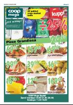 opdalingen-20080522_000_00_00_005.pdf