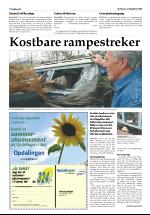 opdalingen-20080529_000_00_00_012.pdf