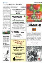 opdalingen-20080529_000_00_00_022.pdf