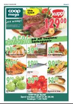 opdalingen-20080605_000_00_00_005.pdf