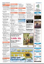 opdalingen-20080605_000_00_00_019.pdf