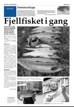 opdalingen-20080612_000_00_00_013.pdf