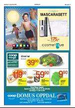 opdalingen-20080612_000_00_00_017.pdf