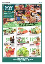 opdalingen-20080619_000_00_00_007.pdf