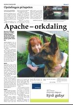 opdalingen-20080621_000_00_00_007.pdf