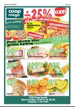 opdalingen-20080626_000_00_00_005.pdf