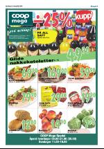 opdalingen-20080703_000_00_00_005.pdf