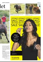 opdalingen-20080703_000_00_00_013.pdf