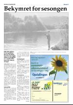 opdalingen-20080705_000_00_00_007.pdf