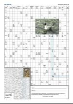 opdalingen-20080705_000_00_00_008.pdf