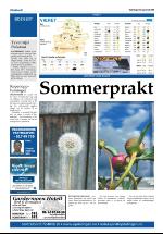 opdalingen-20080705_000_00_00_028.pdf