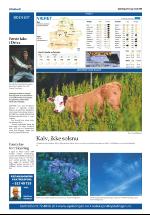 opdalingen-20080710_000_00_00_020.pdf