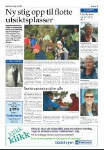 opdalingen-20080715_000_00_00_003.pdf