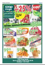 opdalingen-20080717_000_00_00_005.pdf