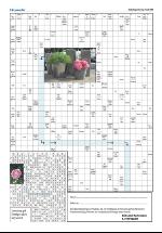 opdalingen-20080719_000_00_00_008.pdf