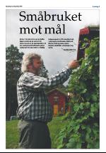 opdalingen-20080719_000_00_00_009.pdf