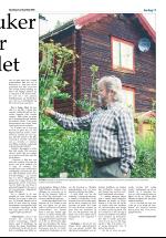 opdalingen-20080719_000_00_00_011.pdf