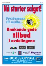 opdalingen-20080731_000_00_00_005.pdf