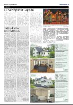 opdalingen-20080802_000_00_00_019.pdf