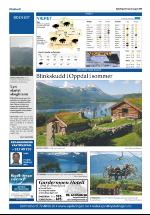 opdalingen-20080802_000_00_00_028.pdf