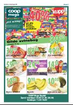 opdalingen-20080807_000_00_00_007.pdf