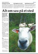 opdalingen-20080809_000_00_00_005.pdf