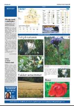 opdalingen-20080819_000_00_00_020.pdf