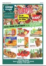 opdalingen-20080821_000_00_00_007.pdf