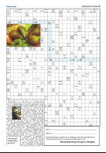 opdalingen-20080823_000_00_00_008.pdf