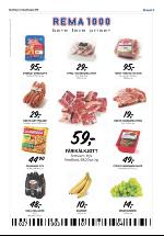 opdalingen-20080828_000_00_00_009.pdf